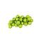 60ct Shiny Green Kiwi Shatterproof Ball Ornaments